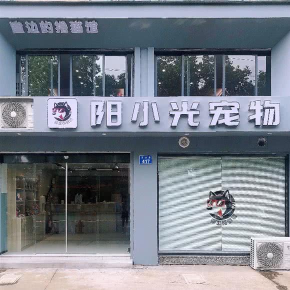 阳小光宠物:宁波市余姚市凤山街道附近