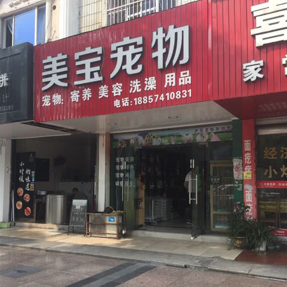 美宝宠物:宁波市余姚市阳明街道附近