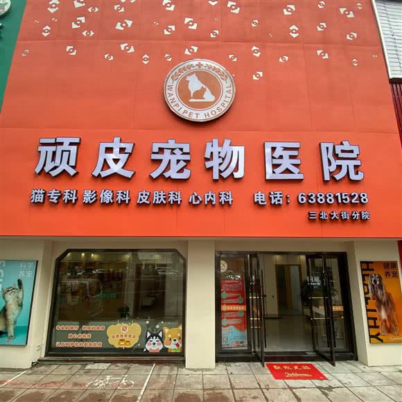 顽皮宠物医院(三北大街分院):宁波市慈溪市浒山街道附近