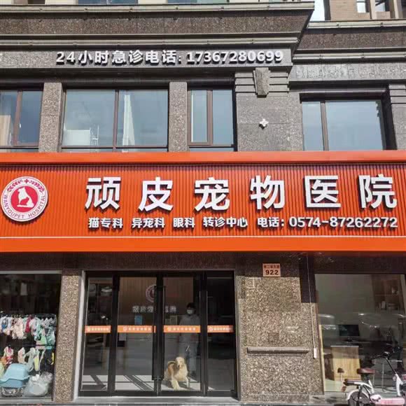 顽皮宠物医院:宁波市慈溪市浒山街道附近