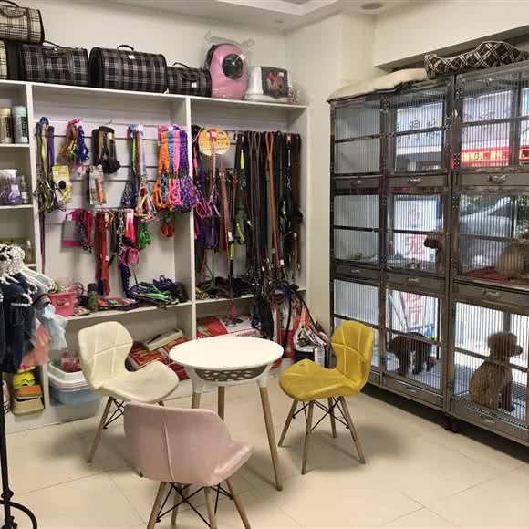 宠爱宠物:宁波市慈溪市浒山街道附近