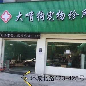 大嘴狗宠物医院:宁波市慈溪市观海卫镇附近