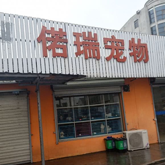 偌瑞宠物:宁波市慈溪市周巷镇附近