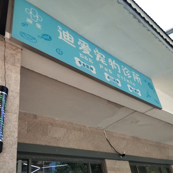 迪爱宠物诊所:宁波市慈溪市杭州湾新区附近