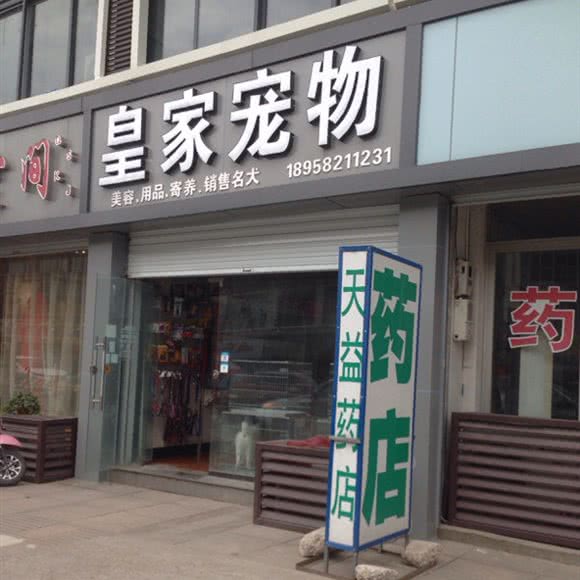 皇家宠物:宁波市慈溪市匡堰镇附近
