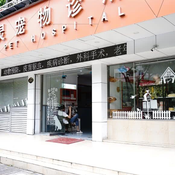 精灵宠物诊所:温州市鹿城区五马街/大南门附近