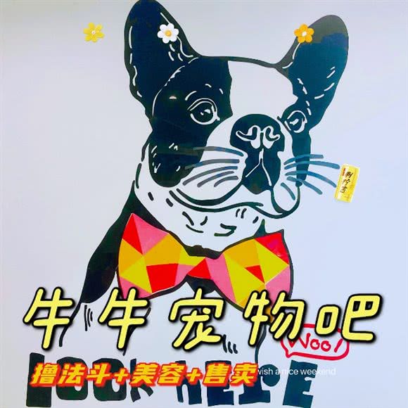 牛牛宠物吧:温州市鹿城区妙果寺附近