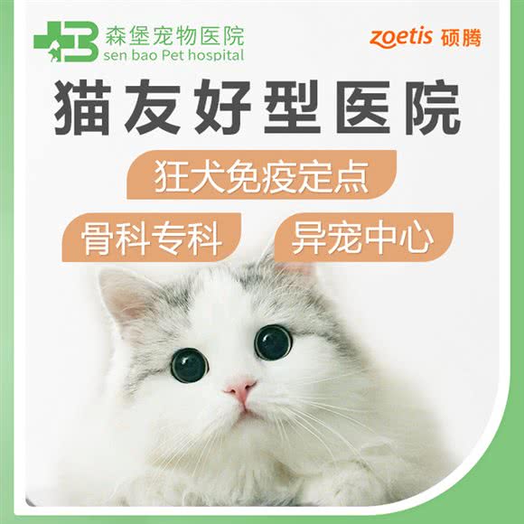 森堡(爱康)宠物医院·猫友好医院·骨科专科:温州市鹿城区锦绣路附近