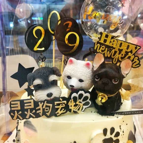 灵灵狗宠物会所:温州市鹿城区江滨西路附近