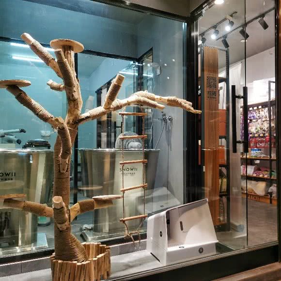 PETKIT小佩宠物(江滨西路店):温州市鹿城区江滨西路附近
