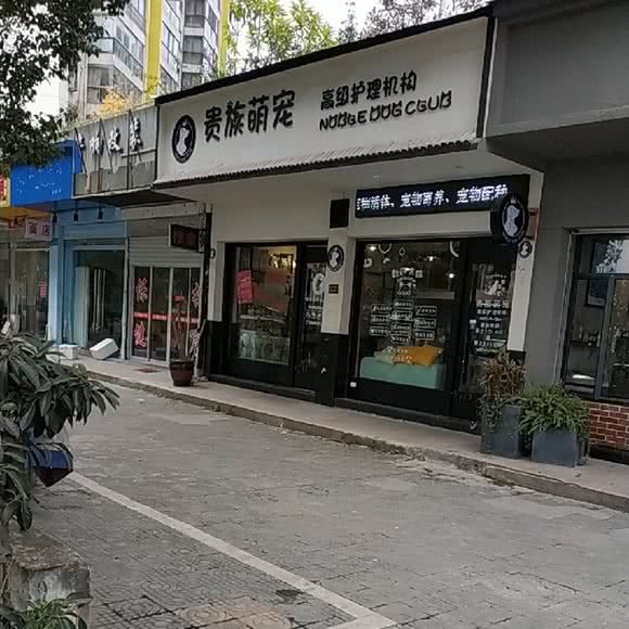 贵族萌宠(龙汇店):温州市鹿城区东屿村附近
