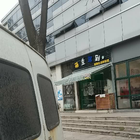 萌主驾到:温州市鹿城区信河街附近