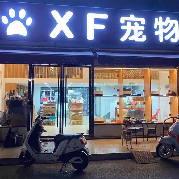 温州XF宠物狗:温州市鹿城区西山附近