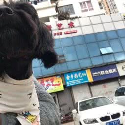 爱旺宠物店:温州市鹿城区望江路附近