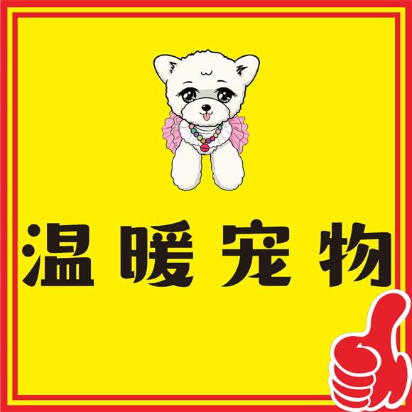 温暖宠物猫犬出售:温州市鹿城区葡萄棚/牛山客运中心附近