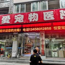 恒爱宠物诊疗中心:温州市鹿城区新城附近