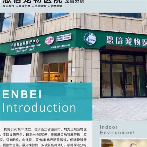 恩倍宠物医院(龙湾奥体城店):温州市龙湾区万达广场附近