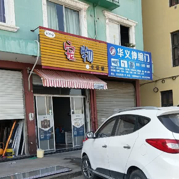 King宠物生活馆:温州市龙湾区滨海园区附近