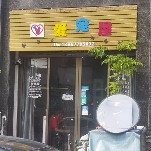 爱宠屋:温州市永嘉县永嘉县附近