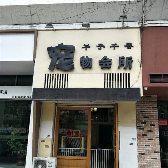千予千寻宠物会所:温州市永嘉县永嘉县附近