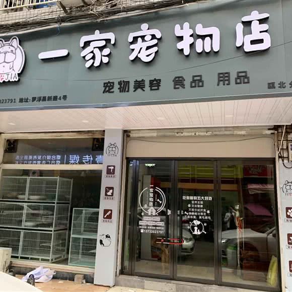 一家面包店:温州市永嘉县永嘉县附近