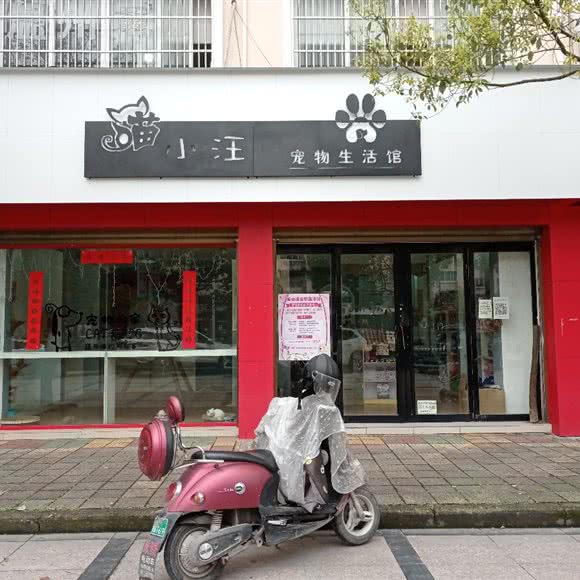 喵小汪宠物生活馆:温州市泰顺县泰顺县附近