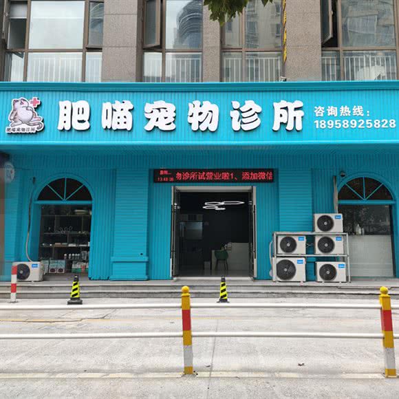 肥喵宠物诊所:温州市瑞安市塘下镇附近