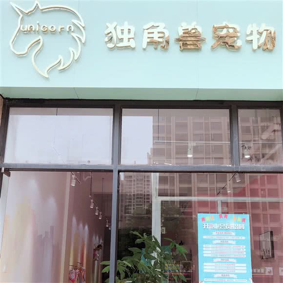 独角兽宠物:嘉兴市南湖区万达广场附近