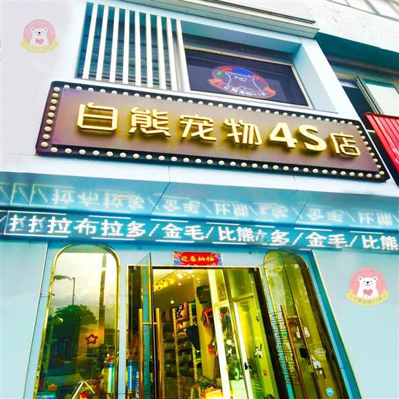 白熊宠物4S店·精致洗护美容·犬猫专售:嘉兴市南湖区万达广场附近