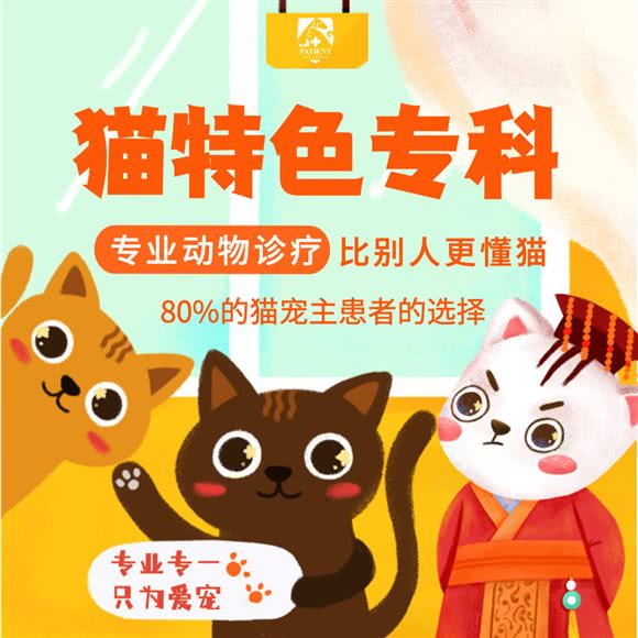 佩森宠物诊所·猫专科:嘉兴市南湖区万达广场附近