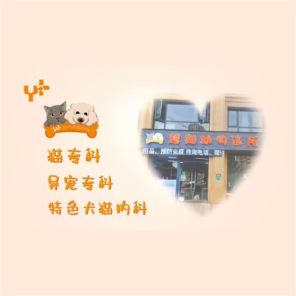 越加动物诊所:嘉兴市南湖区万达广场附近