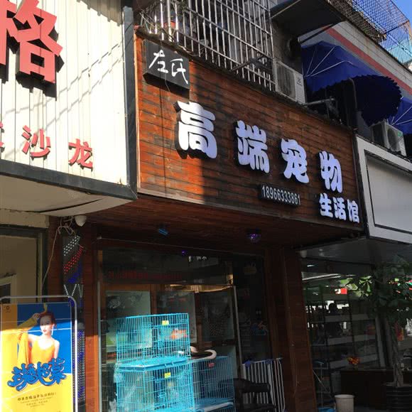 左氏高端宠物生活馆:嘉兴市南湖区华庭街附近