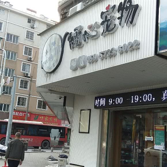 倾心宠物:嘉兴市南湖区城南路附近