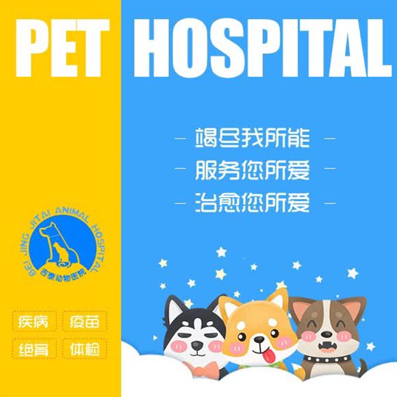 吉泰动物医院(天通苑店):北京城区昌平区天通苑附近