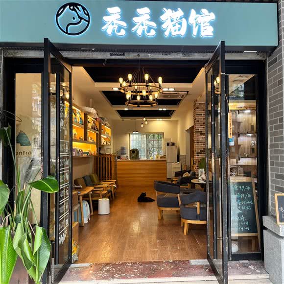 秃秃猫馆:嘉兴市南湖区中山东路附近