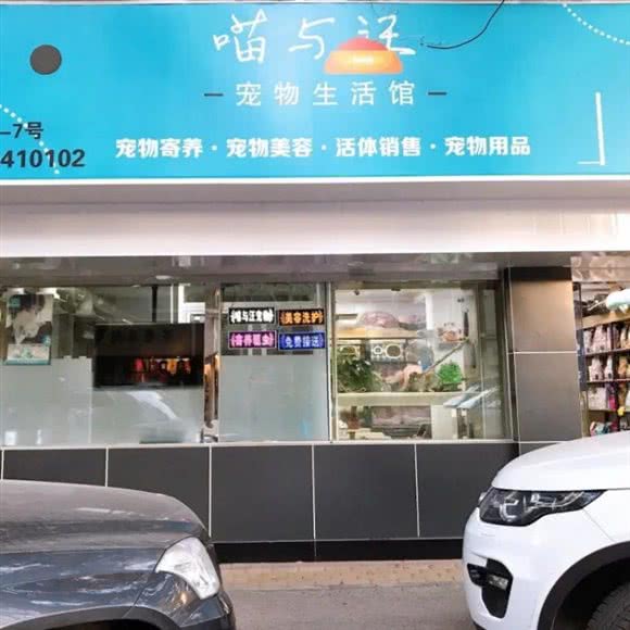 喵与汪宠物生活馆:嘉兴市南湖区越秀北路附近