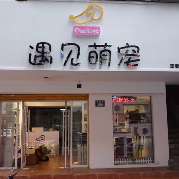 遇见萌宠:嘉兴市南湖区紫阳街附近