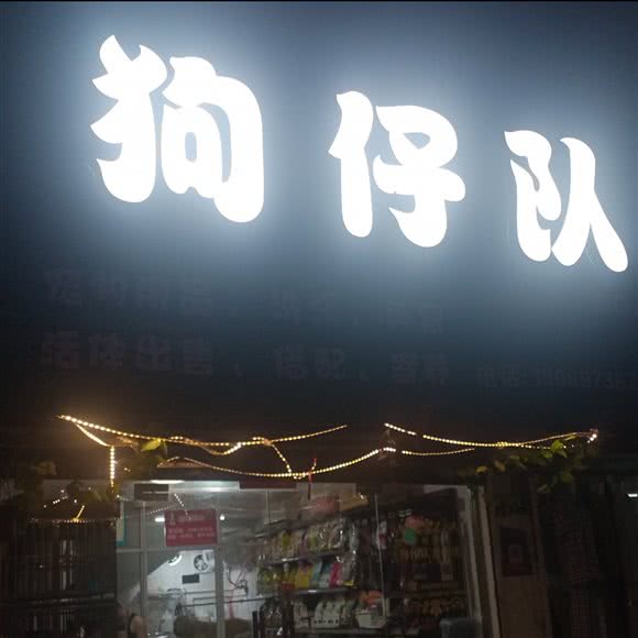 狗仔队:嘉兴市南湖区放鹤洲附近
