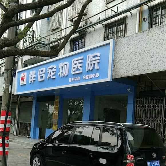 嘉兴市伴侣宠物医院:嘉兴市南湖区吉水路附近