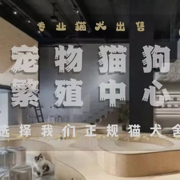 万嘉宠物 宠物猫狗专售:嘉兴市南湖区龙鼎万达广场附近
