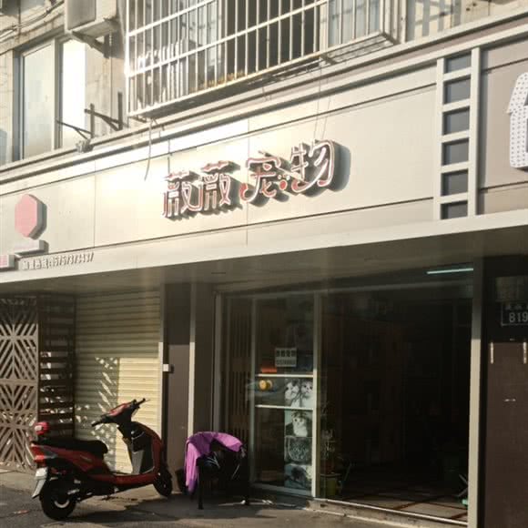 薇薇宠屋:嘉兴市秀洲区友谊街附近