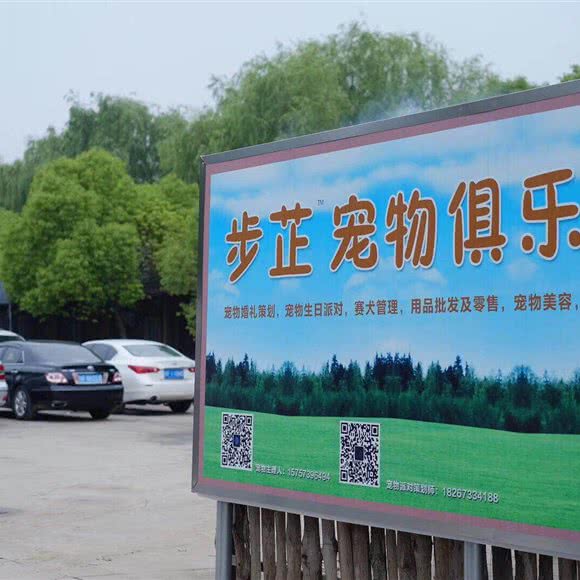 步芷宠物俱乐部:嘉兴市秀洲区洪兴路附近