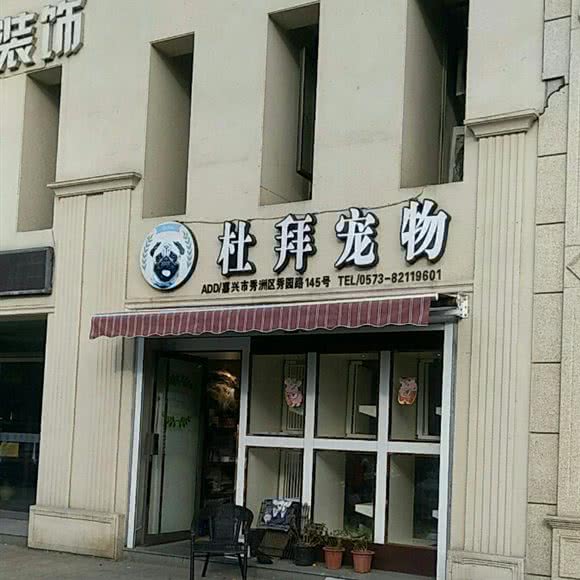 杜拜宠物:嘉兴市秀洲区中关村附近