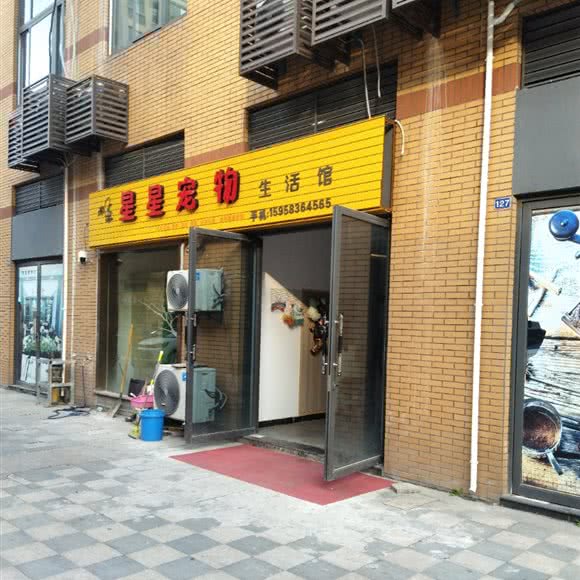 月亮宠物生活馆:嘉兴市秀洲区新塍附近