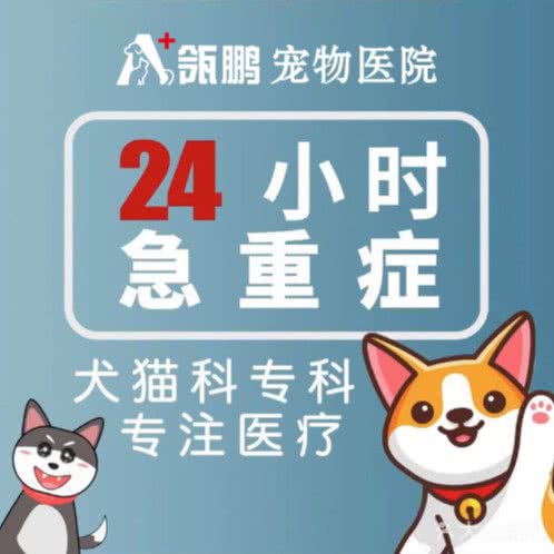 A+瓴鹏宠物医院·转诊中心(海宁总院):嘉兴市海宁市海洲街道附近