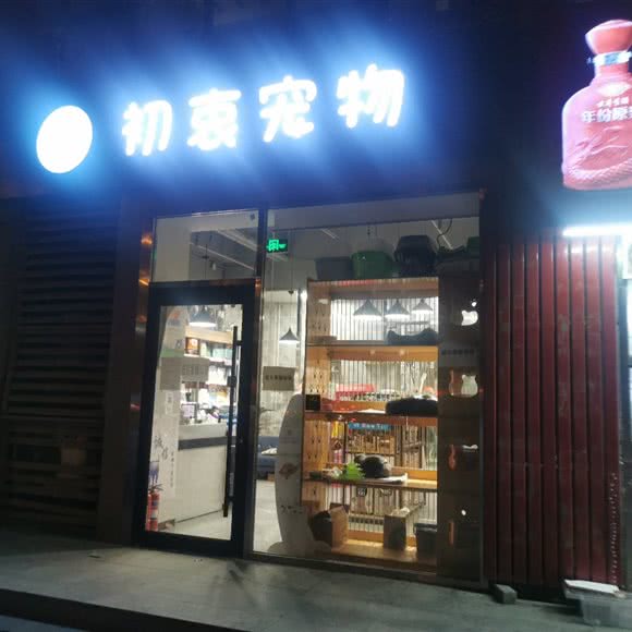 初衷宠物:北京城区朝阳区望京附近