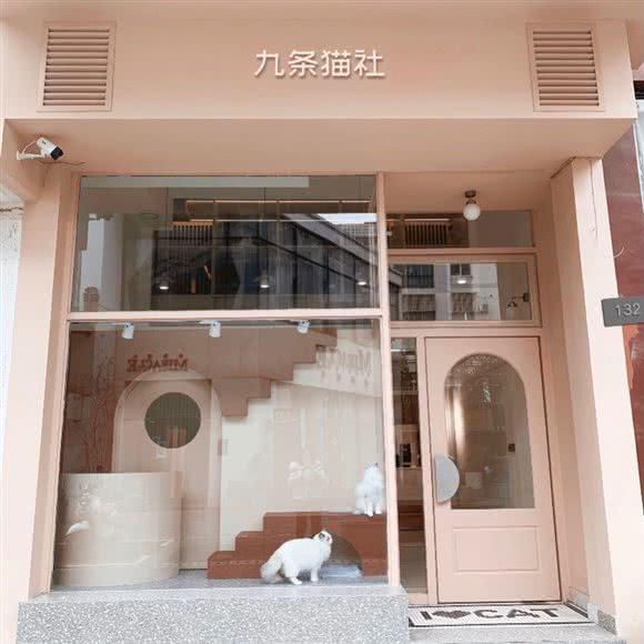 九条兔社:嘉兴市桐乡市梧桐街道附近