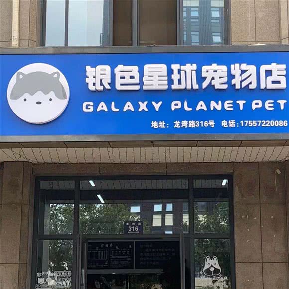银色星球宠物店:湖州市吴兴区大学城/湖师院附近