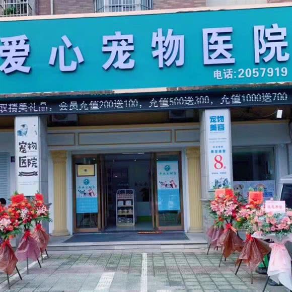 关爱宠物医院:湖州市吴兴区红丰附近