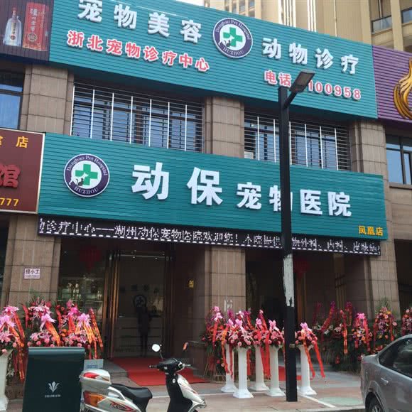 动保宠物医院(凤凰店):湖州市吴兴区龙溪北路附近